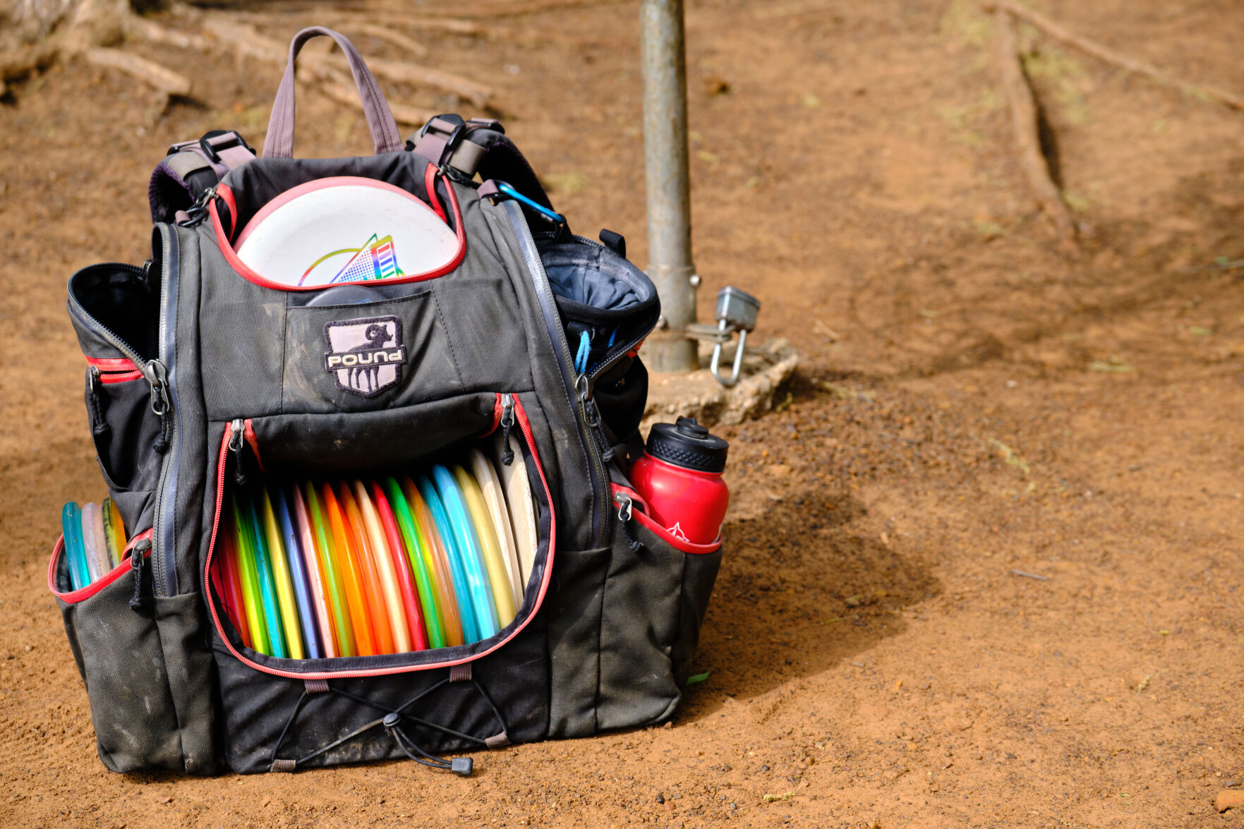 Business management senior spins into professional disc golf